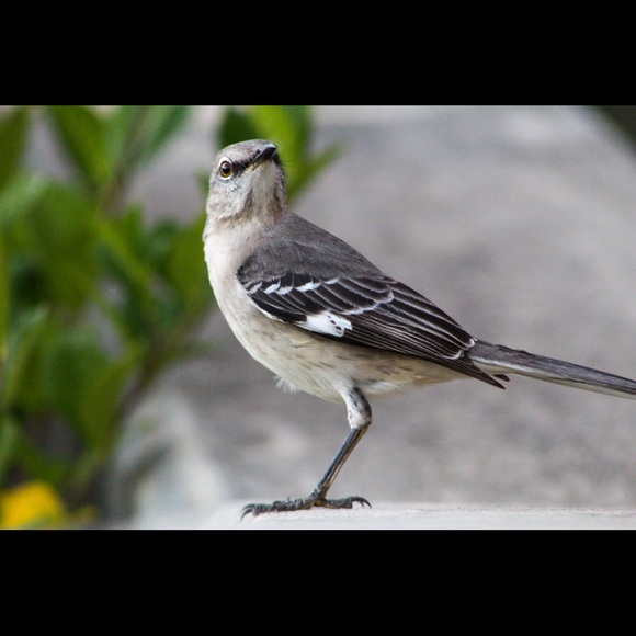 Meet your Posher, Michelle - Picture 5 of 9